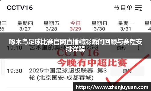 啄木鸟足球比赛官网直播精彩瞬间回顾与赛程安排详解