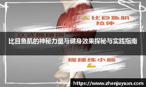 火博体育